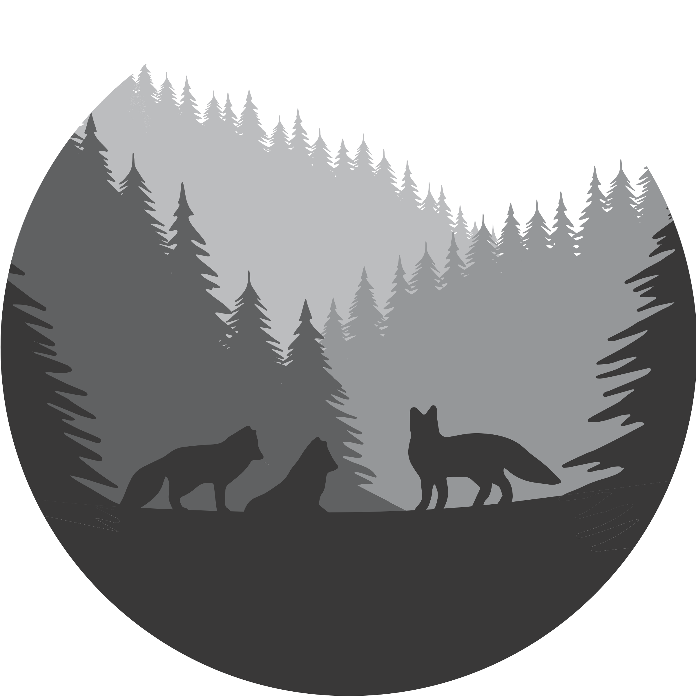 Secret Forest Country Doctor PLLC